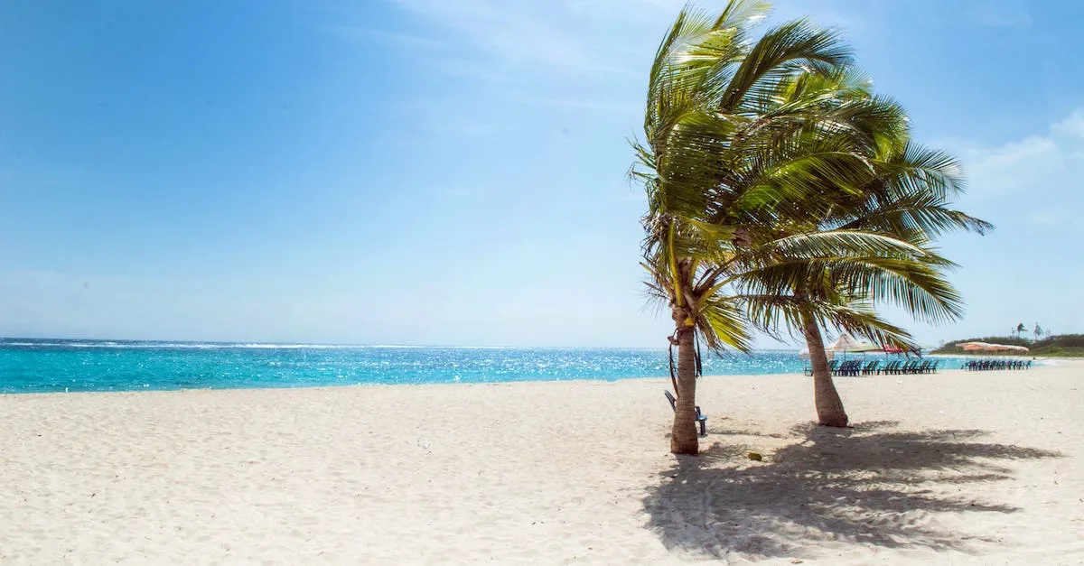¿Hay demasiado viento a 15 mph para la playa? Evaluación de la seguridad contra el viento en la playa ¿Hay demasiado viento a 15 mph para la playa? Evaluación de la seguridad contra el viento en la playa
