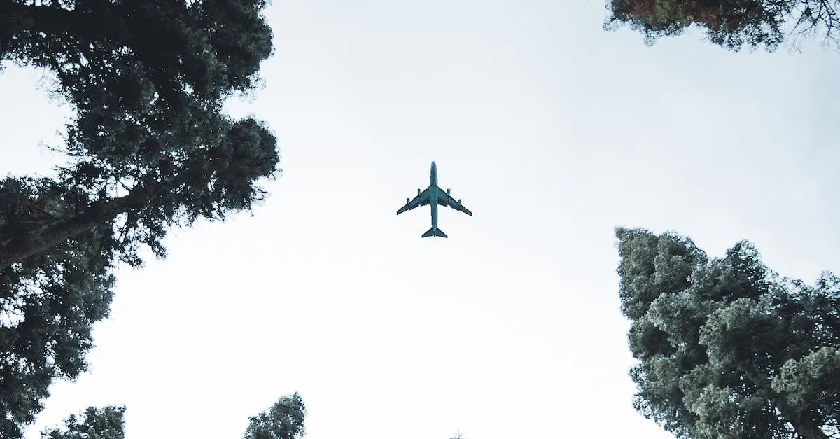 Volar de Tijuana a Guadalajara sin pasaporte: lo que necesitas saber Volar de Tijuana a Guadalajara sin pasaporte: lo que necesitas saber