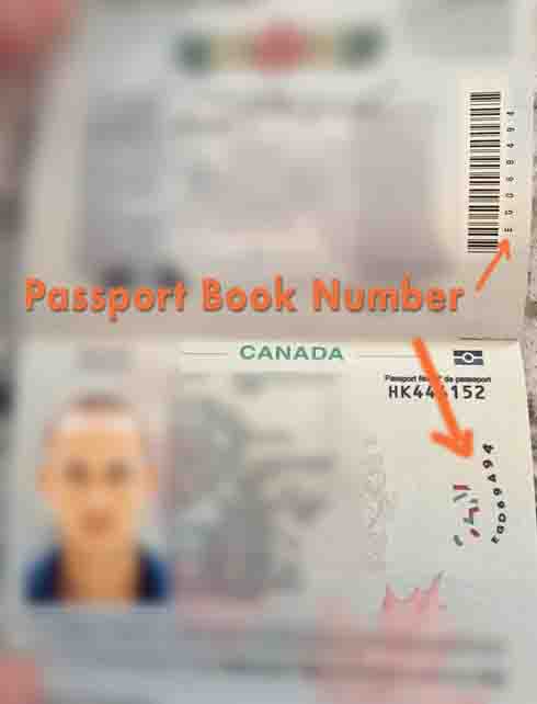 ¿Dónde y qué es el número de libreta de pasaporte? (Guía 2024)