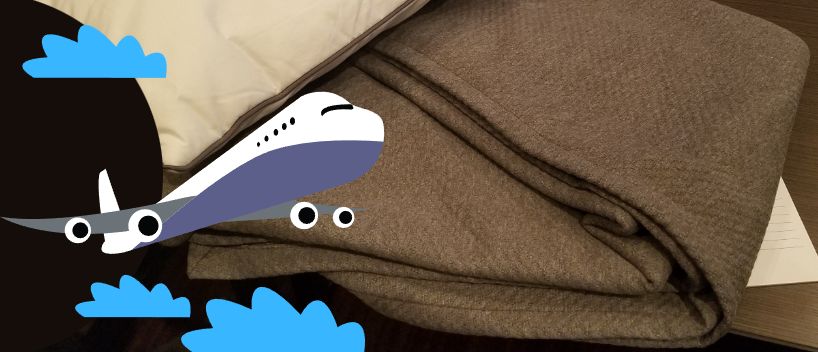 ¿Puedes llevar una manta en un avión? Reglas generales de la TSA ¿Puedes llevar una manta en un avión? Reglas generales de la TSA