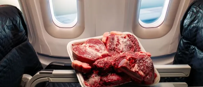 ¿Puedes llevar carne en un avión?