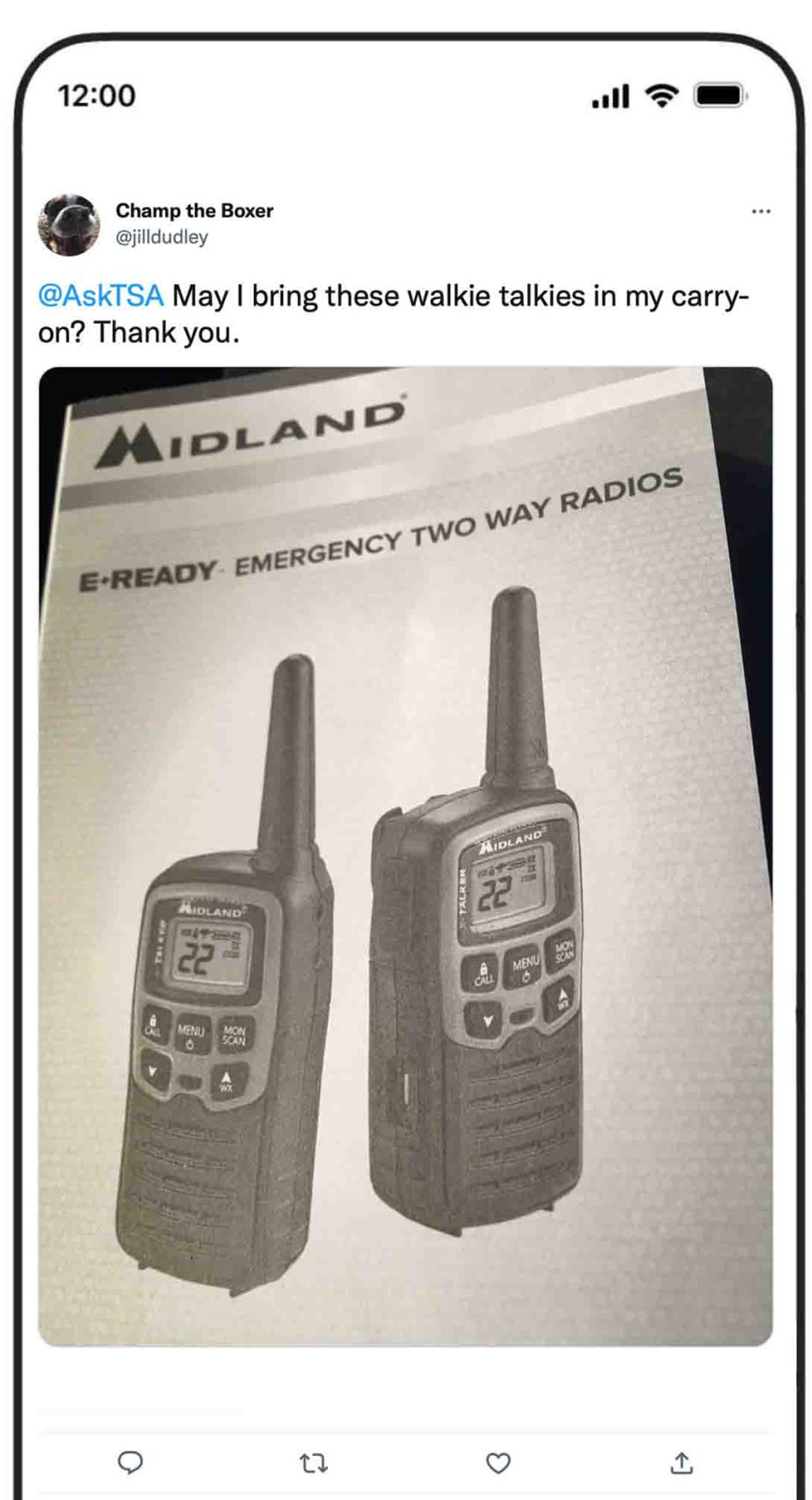 ¿Puedes llevar walkie talkies en un avión? 2024