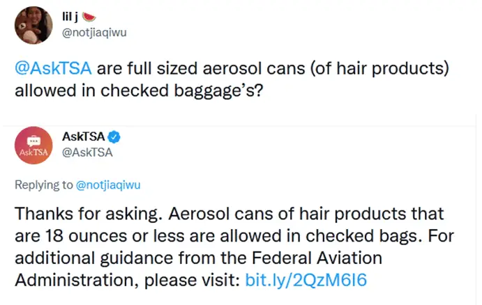 ¿Se pueden llevar productos para el cuidado del cabello en el equipaje facturado? ¿Se pueden llevar productos para el cuidado del cabello en el equipaje facturado?