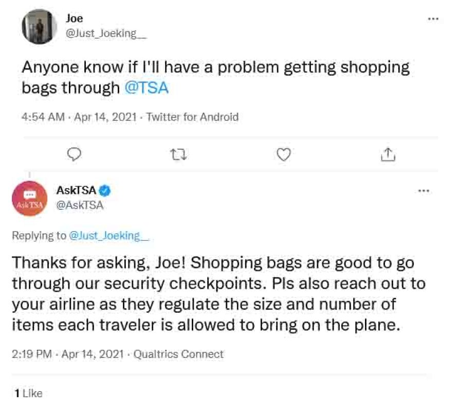 ¿Puedes llevar una bolsa de compras en un avión? 2024