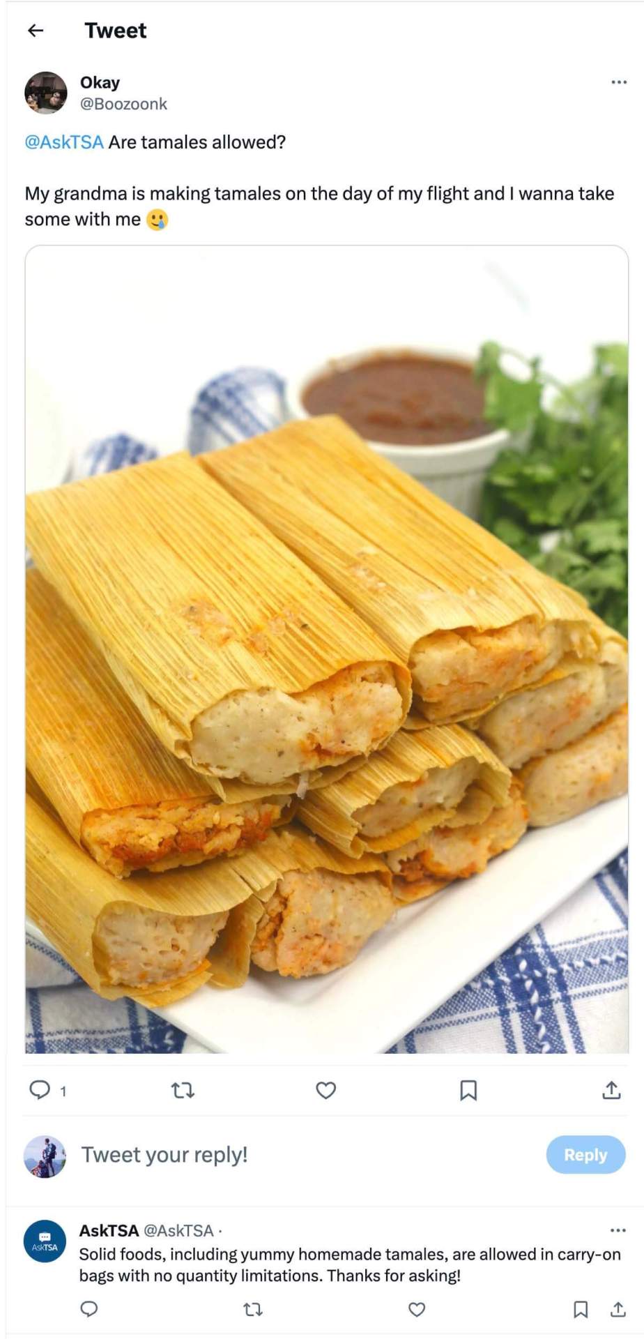 ¿Puedes llevar tamales en un avión? CST 2024 ¿Puedes llevar tamales en un avión? CST 2024