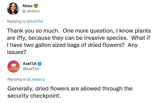 ¿Puedes llevar flores en un avión? 2024