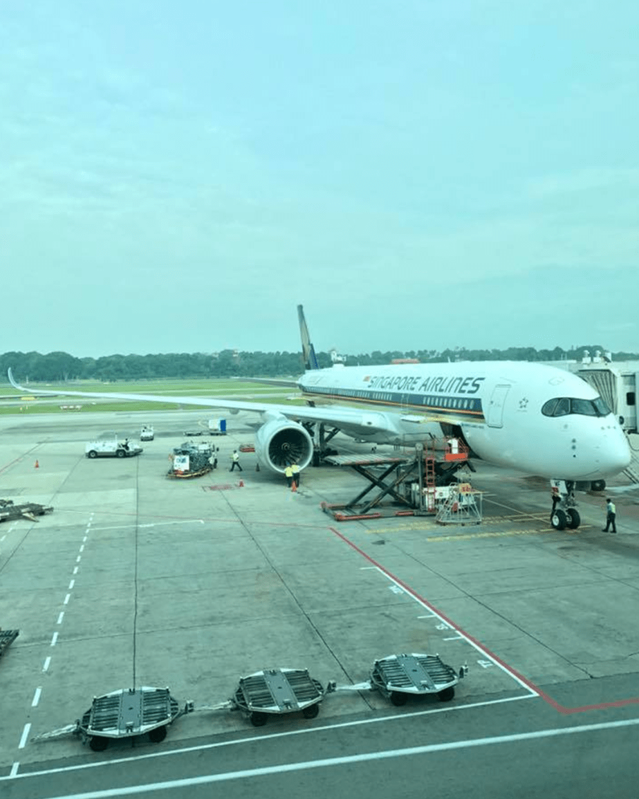 ¿Qué tan estricta es la franquicia de equipaje en Singapore Airlines? 2024
