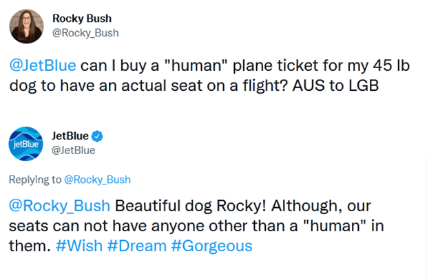¿Qué aerolíneas permiten que los perros compren un asiento?