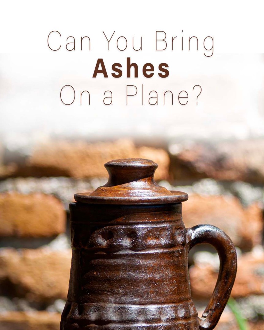 ¿Se pueden llevar cenizas (restos cremados) en un avión?