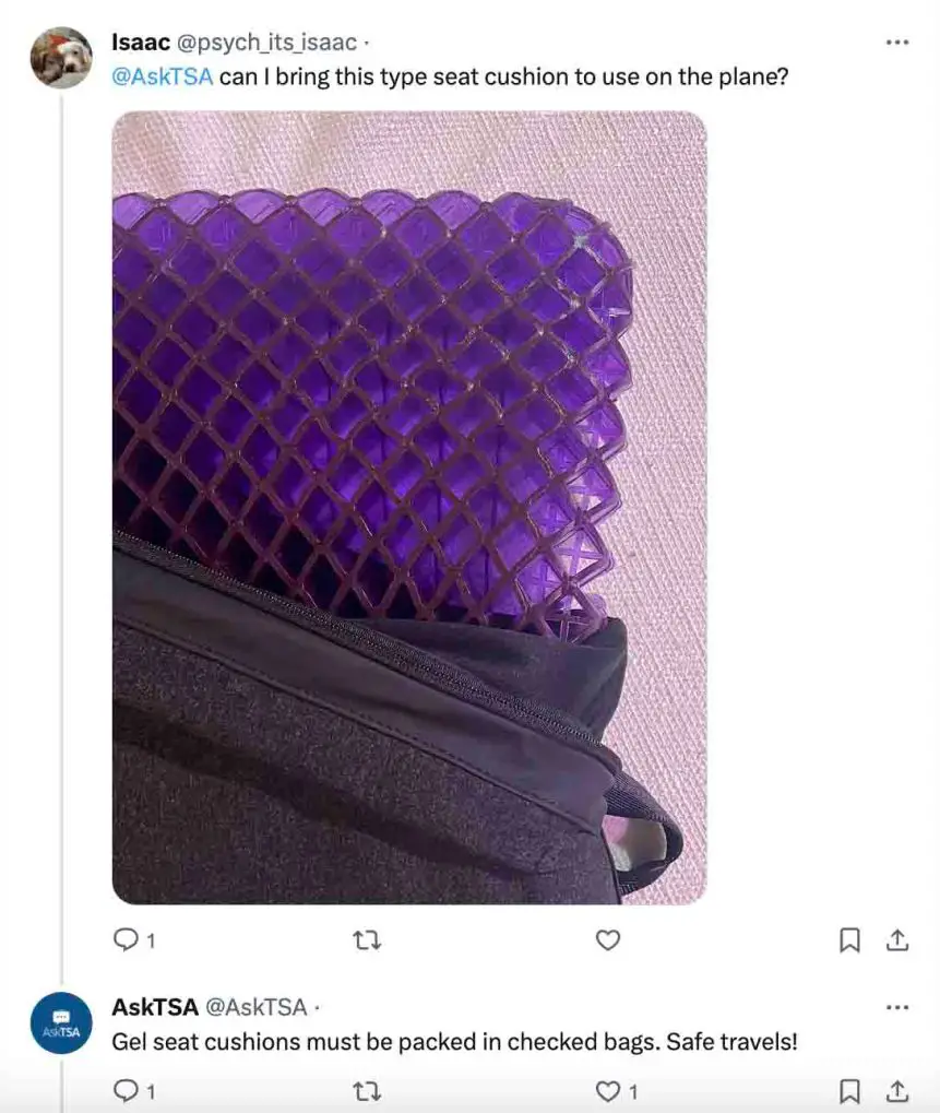 ¿Puedes llevar un cojín de asiento en un avión? ¿Puedes llevar un cojín de asiento en un avión?