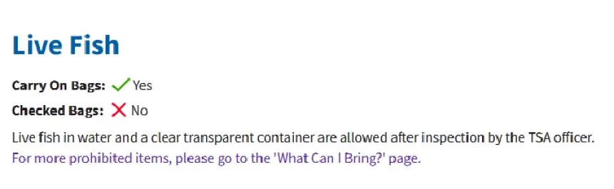 ¿Puedo llevar un pez vivo en el avión? 2024