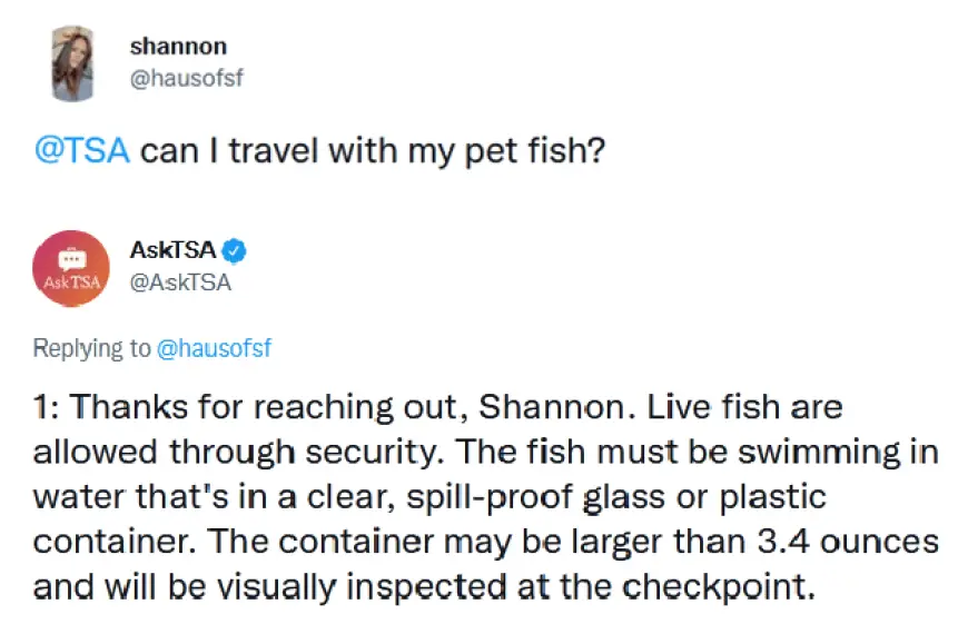 ¿Puedo llevar un pez vivo en el avión? 2024