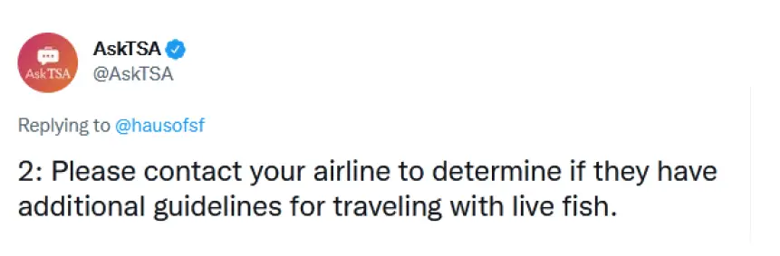 ¿Puedo llevar un pez vivo en el avión? 2024