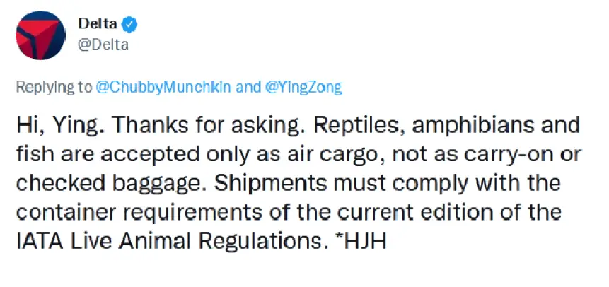 ¿Puedo llevar un pez vivo en el avión? 2024