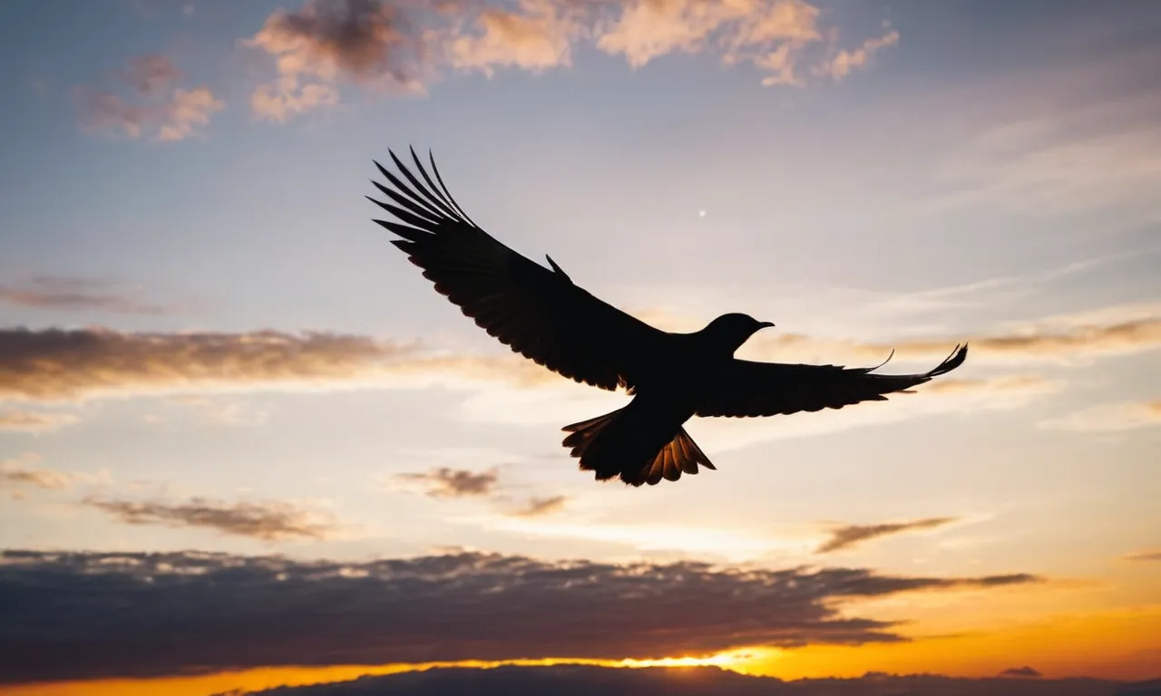 ¿Qué es la actitud de vuelo?