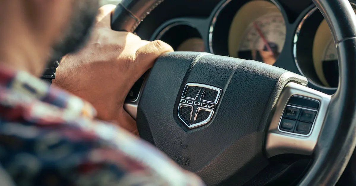 ¿Puedes conducir un coche con pasaporte?