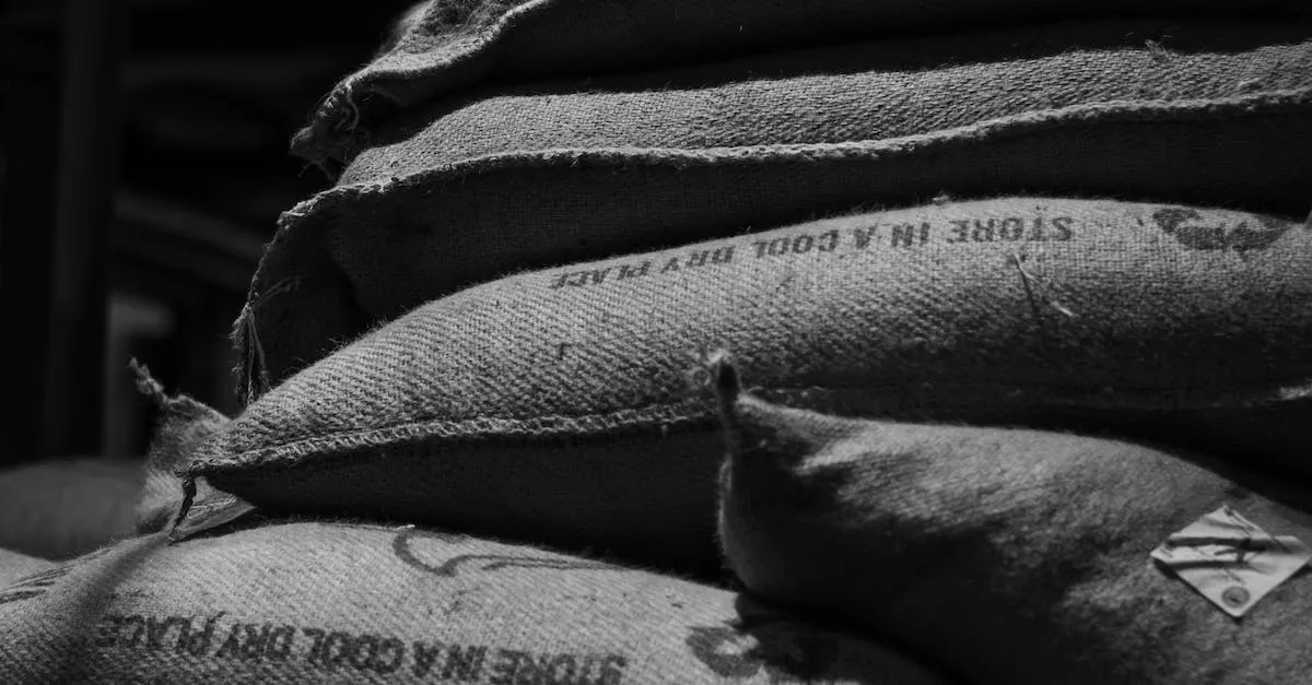 Franquicia de equipaje en Qatar Airways: información sobre el límite de peso de 30 kg para 2 piezas de equipaje facturado Franquicia de equipaje en Qatar Airways: información sobre el límite de peso de 30 kg para 2 piezas de equipaje facturado