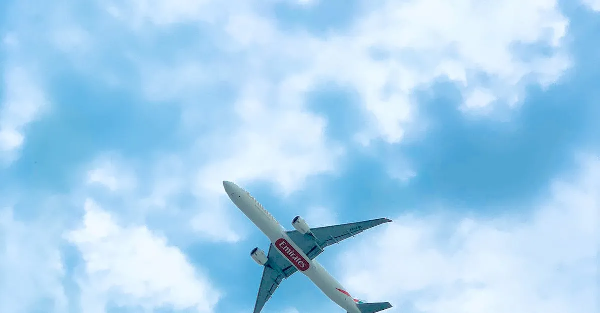 ¿Se puede llevar una identificación falsa en un avión? Todo lo que necesitas saber