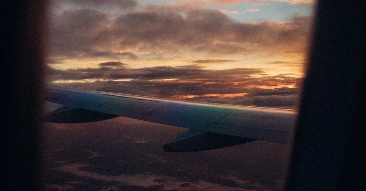 ¿Qué es un vuelo de ida y vuelta? Una guía completa