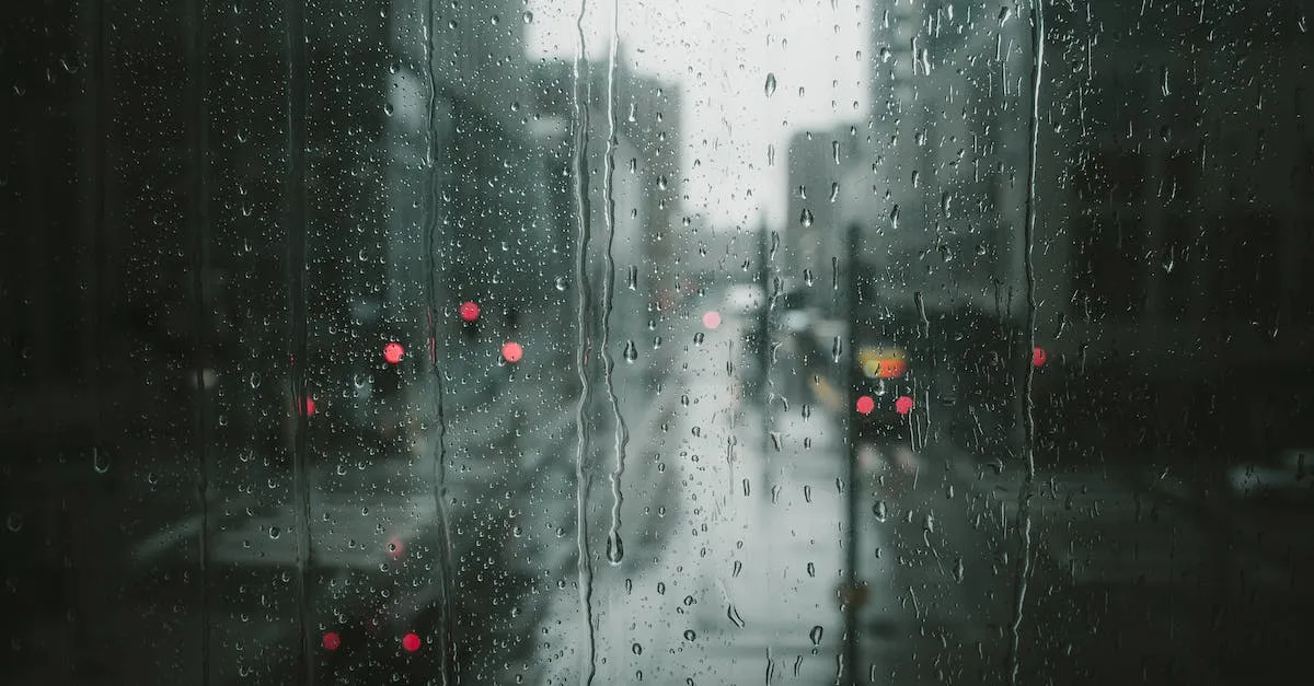 ¿Los contactos cuentan como líquidos para la TSA? Lo que necesitas saber