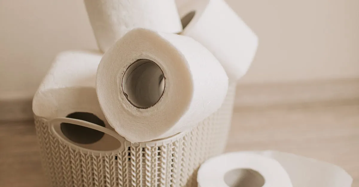 ¿Los indios usan papel higiénico? Una mirada detallada a los hábitos sanitarios en la India