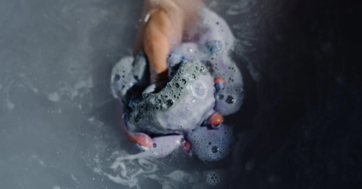 ¿Se puede lavar la ropa con jabón de manos? Todo lo que necesitas saber ¿Se puede lavar la ropa con jabón de manos? Todo lo que necesitas saber