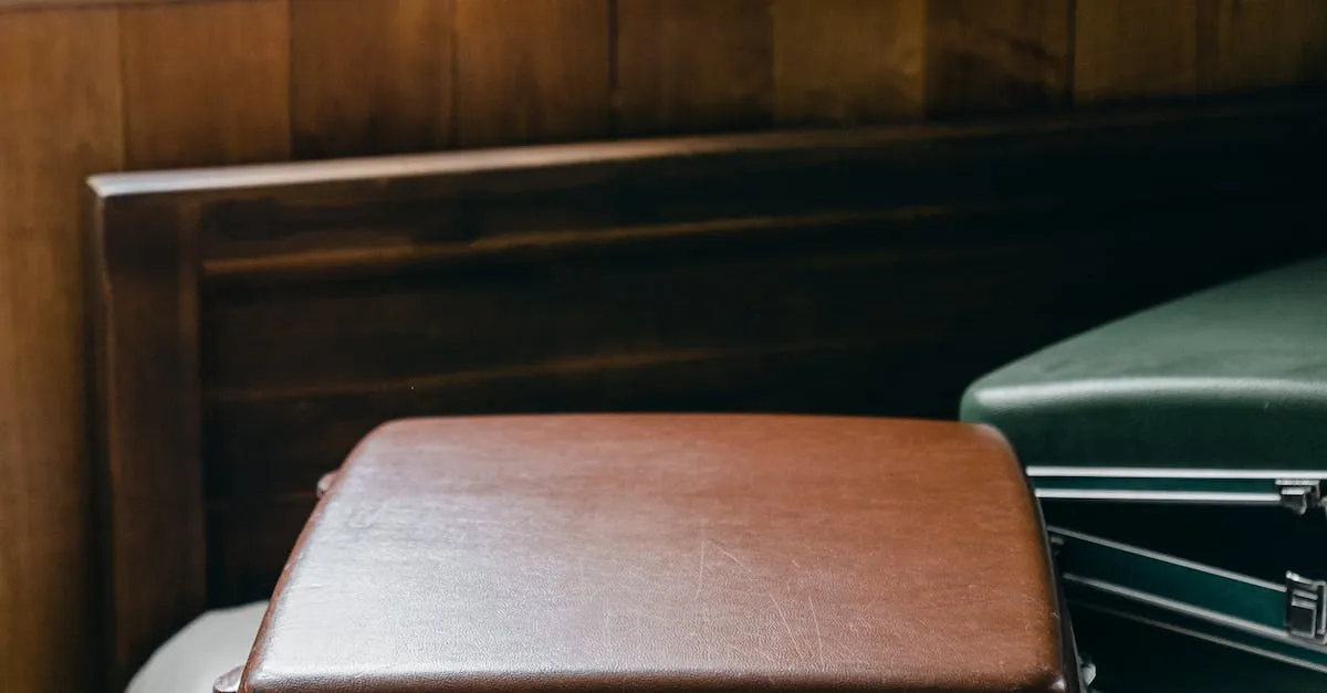 Franquicia de equipaje de Emirates desde EE. UU. a la India: una guía completa