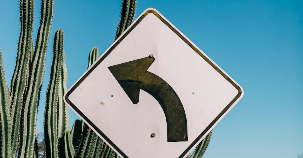 Conduzca amigablemente al estilo de Texas: una guía para una conducción amigable