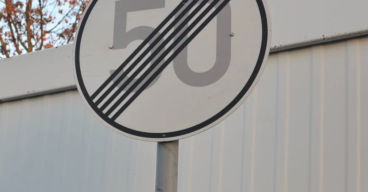 Señales de prohibición de velocidad en la autopista: lo que necesita saber