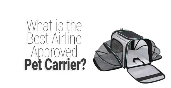 Los 10 mejores transportadores de mascotas aprobados por aerolíneas en 2024