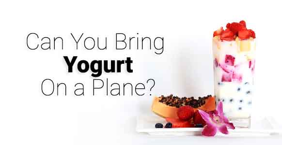 ¿Puedes llevar yogur en un avión? 2024