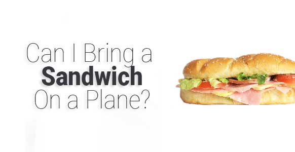 ¿Puedo llevar un sándwich en el avión? 2024