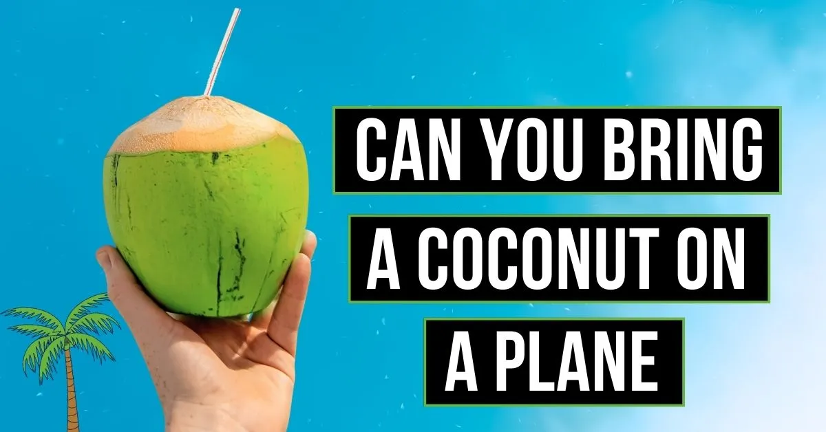 ¿Puedes llevar un coco en un avión?
