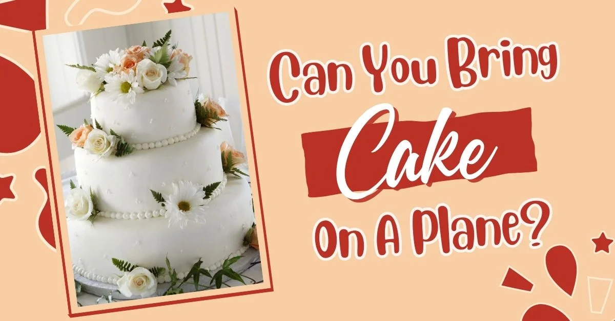 ¿Puedes llevar pastel en un avión?