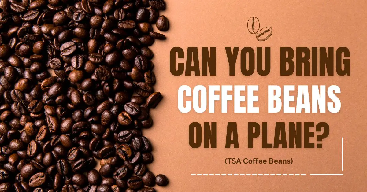 ¿Se pueden llevar granos de café en un avión?