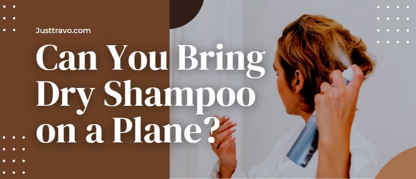 ¿Puedes llevar champú seco en un avión?
