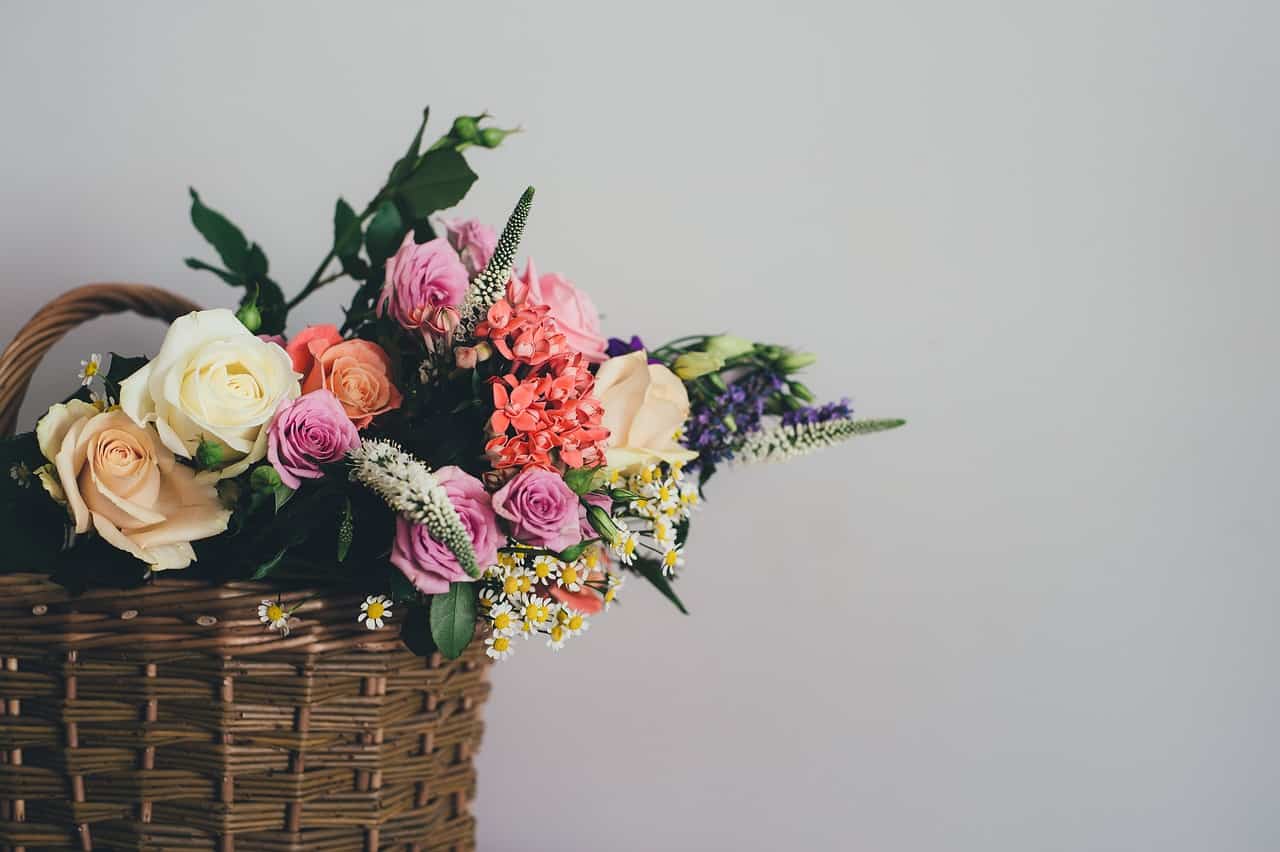 ¿Puedes llevar flores en un avión?