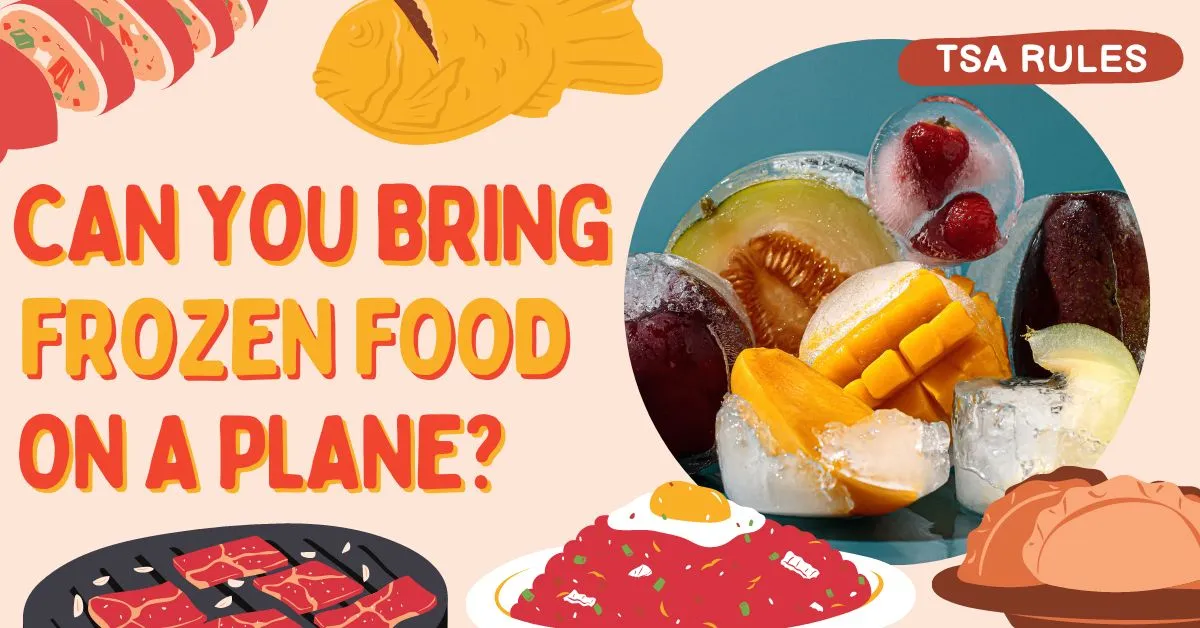 ¿Se puede llevar comida congelada en un avión?