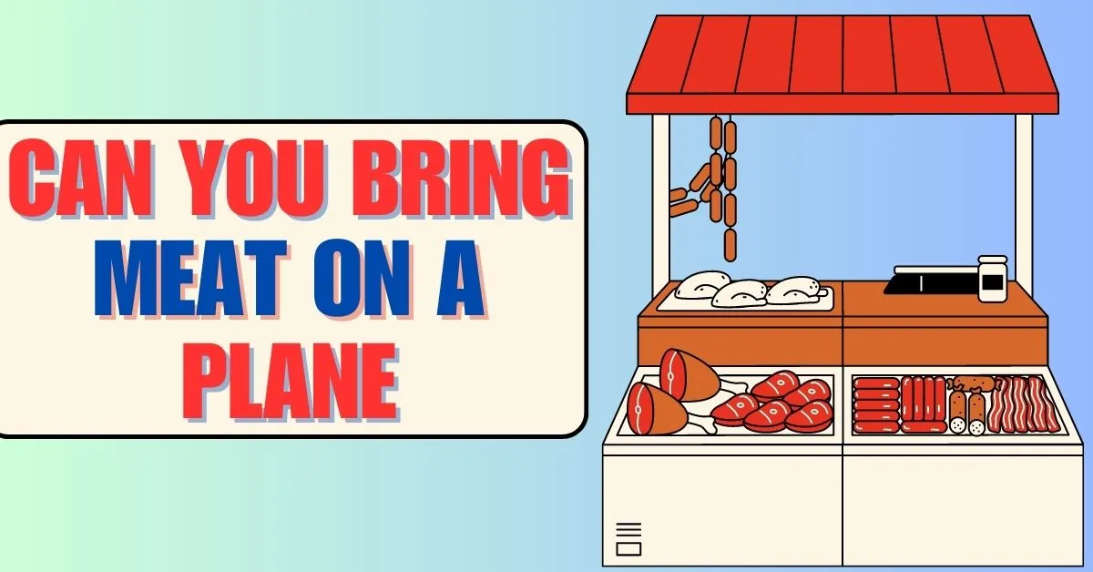 ¿Puedes llevar carne en un avión?