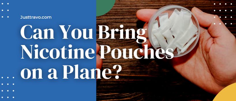 ¿Se pueden llevar bolsas de nicotina en un avión?