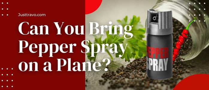 ¿Puedes llevar spray de pimienta en un avión? Vuela con spray de autodefensa