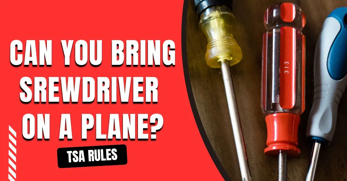¿Puedes llevar un destornillador en un avión?