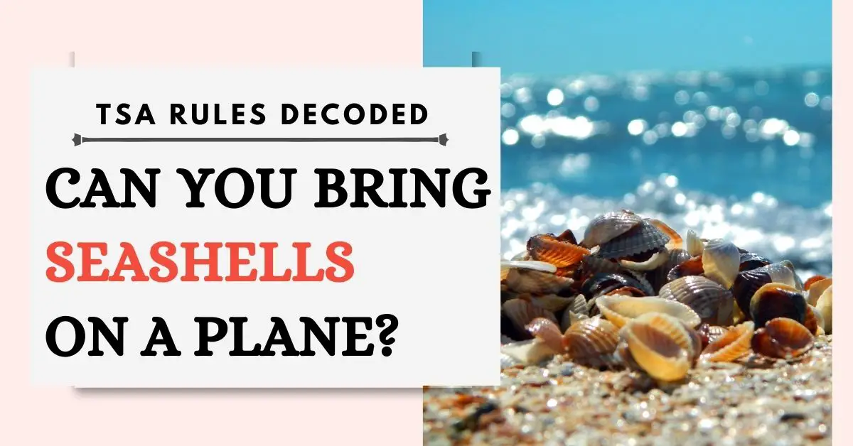 ¿Puedes llevar mejillones en un avión? Reglas de la TSA decodificadas