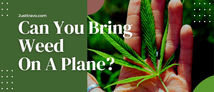 ¿Puedes llevar marihuana en un avión? Volar con marihuana/hierba