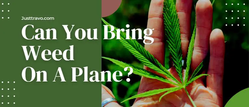 ¿Puedes llevar marihuana en un avión? Volar con marihuana/hierba ¿Puedes llevar marihuana en un avión? Volar con marihuana/hierba