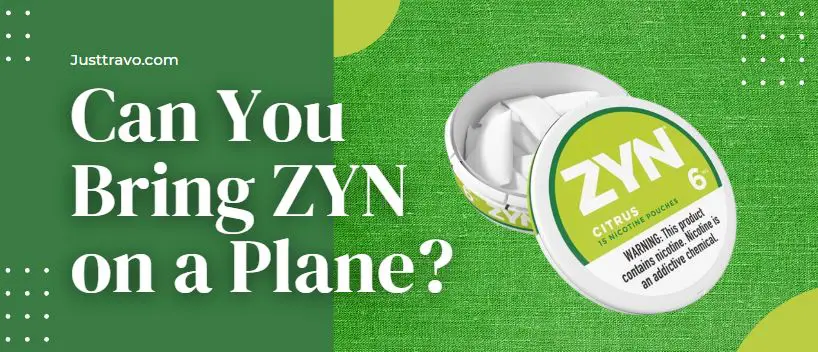 ¿Puedes llevar a Zyn en un avión? (Vía TSA)