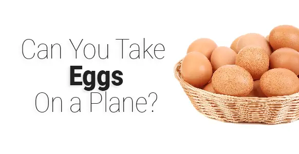 ¿Puedes llevar huevos en un avión? 2024 ¿Puedes llevar huevos en un avión? 2024