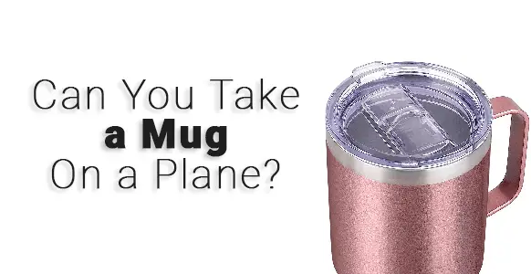 ¿Puedes llevar una taza en un avión? 2024