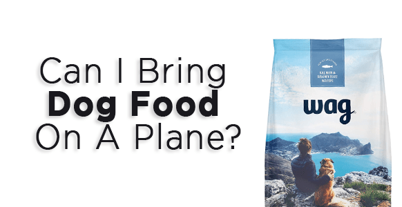 ¿Puedo llevar comida y golosinas para perros en el avión? 2024