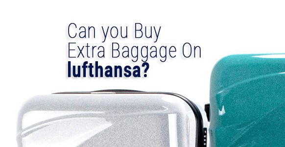 ¿Puedo comprar equipaje adicional en Lufthansa? 2024